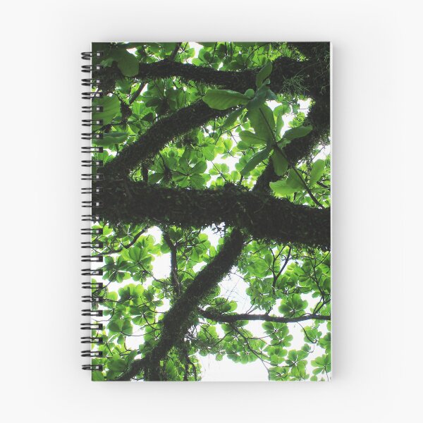 Item preview, Tree 2.0 designed and sold by Sérgio Rodrigues Garcez Filho.