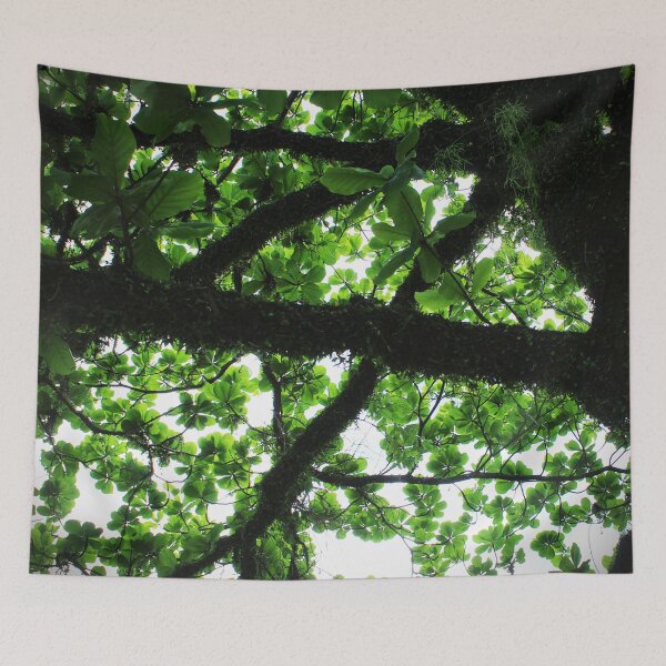 Item preview, Tree 2.0 designed and sold by Sérgio Rodrigues Garcez Filho.