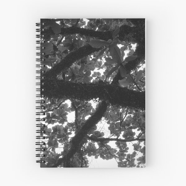 Item preview, Tree 2.0 designed and sold by Sérgio Rodrigues Garcez Filho.