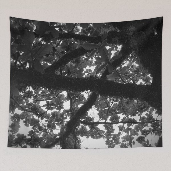 Item preview, Tree 2.0 designed and sold by Sérgio Rodrigues Garcez Filho.