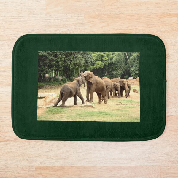 Item preview, Elephants playing in the wilderness designed and sold by Rangeelo.