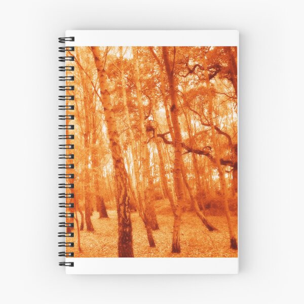 Item preview, Birch Bliss designed and sold by Charissa May Borroff.
