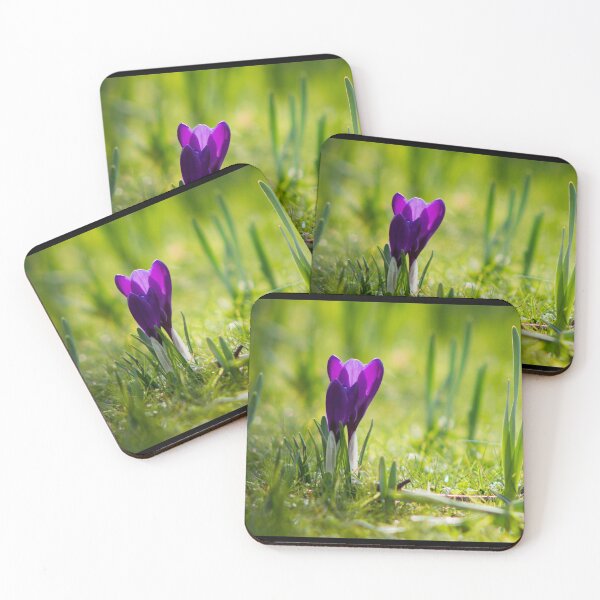 Item preview, Purple Crocus Vernus - Belfast designed and sold by merakiinfocus.