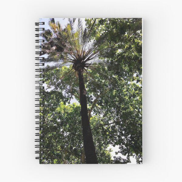 Aperçu de l'œuvre En levant créée et vendue par Kristine Deleasa.