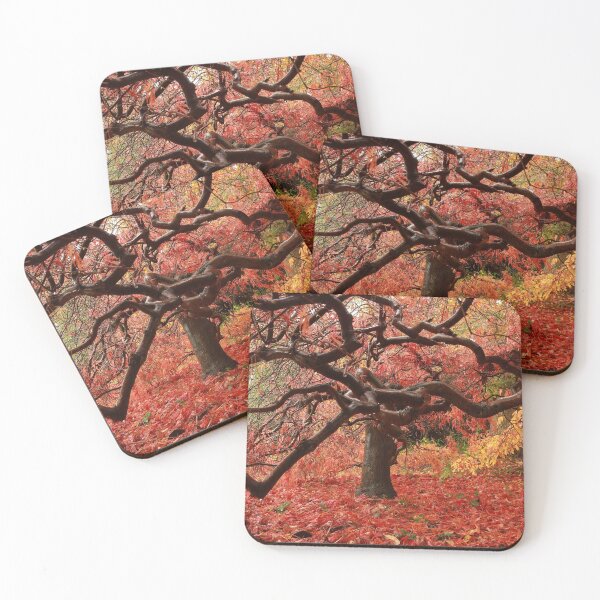 Item preview, Bare branches of the fall designed and sold by miradorpictures.