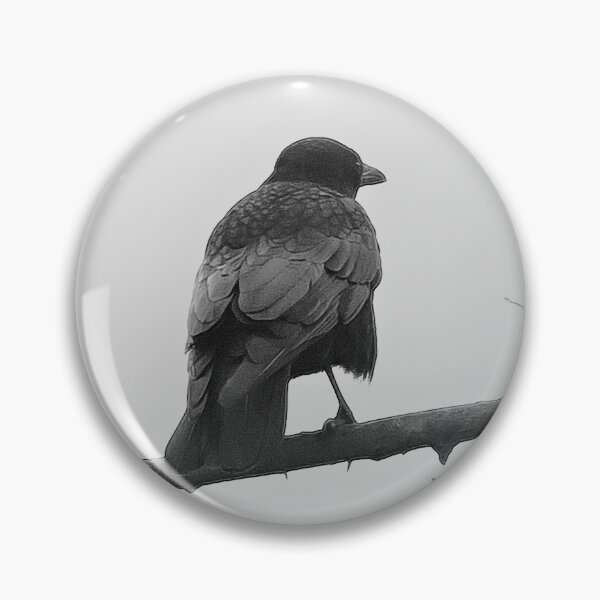 Item preview, TAMalloyPhoto - CROW ON A BRANCH  designed and sold by TAMalloyPhoto.
