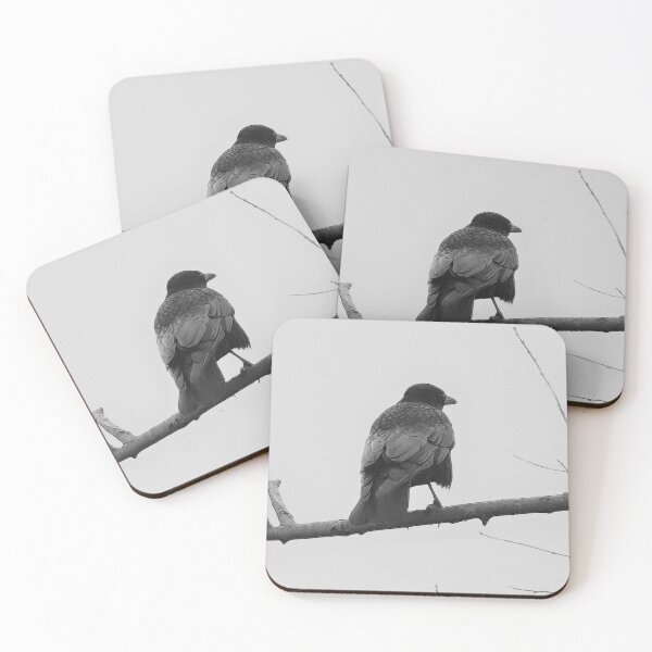 Item preview, TAMalloyPhoto - CROW ON A BRANCH  designed and sold by TAMalloyPhoto.