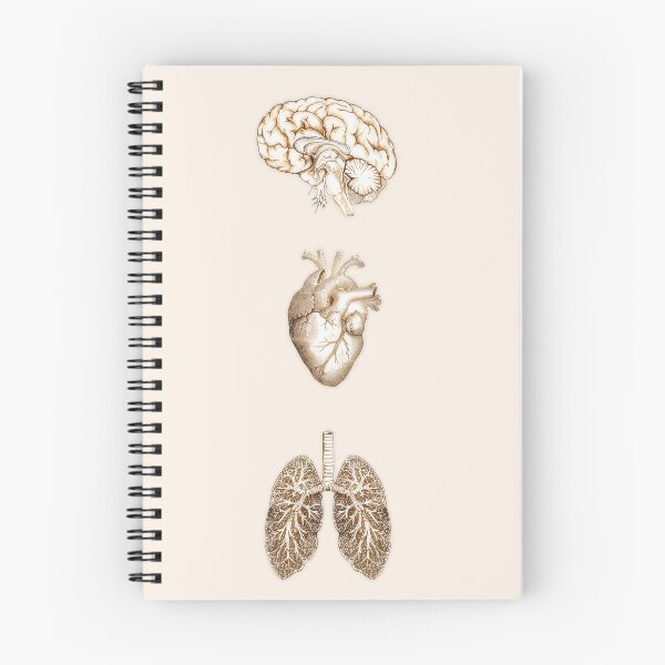 Item preview, A set of human organ, lungs, heart and brain, vintage style designed and sold by Collagedream.