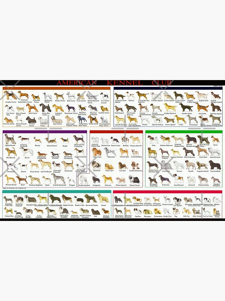 "American Kennel Dog Breeds Club Chart" Poster for Sale by DonnaFunk