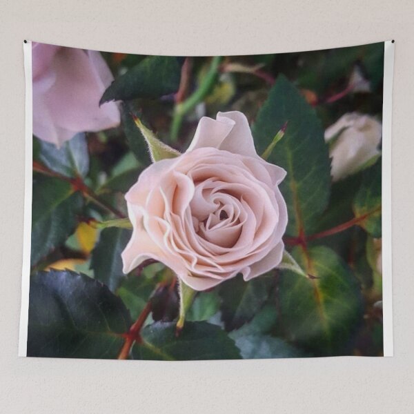 Item preview, Rose-Pink Rose designed and sold by SarahHphotos.