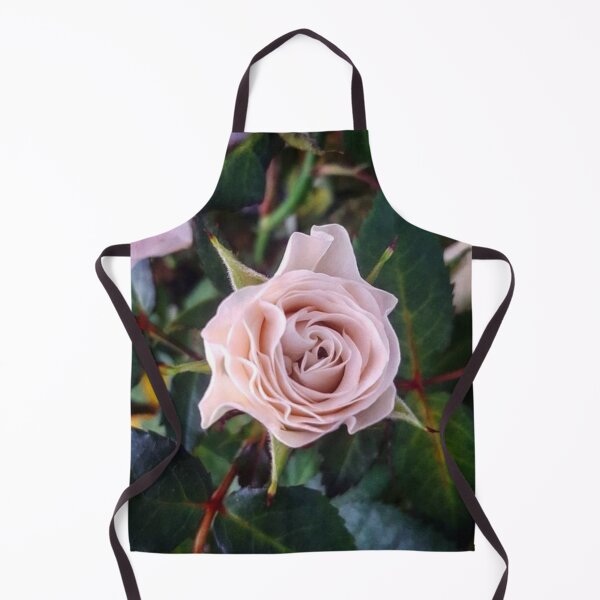 Item preview, Rose-Pink Rose designed and sold by SarahHphotos.