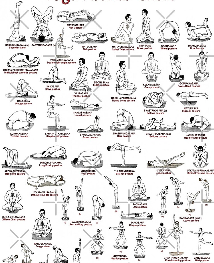 608 Yoga Poses Yoga Postures Is The Most Comprehensiv - vrogue.co