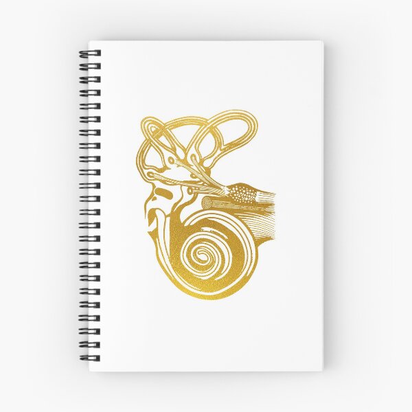 Item preview, Ear anatomy designed and sold by Liededrom..