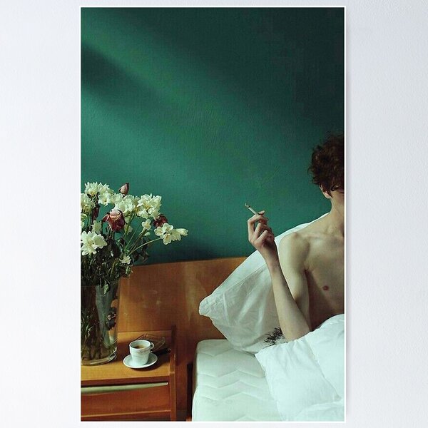Item preview, timothee smoke in bed designed and sold by firstadam.