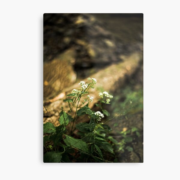 Forest Flowers and Greenery Metal Print