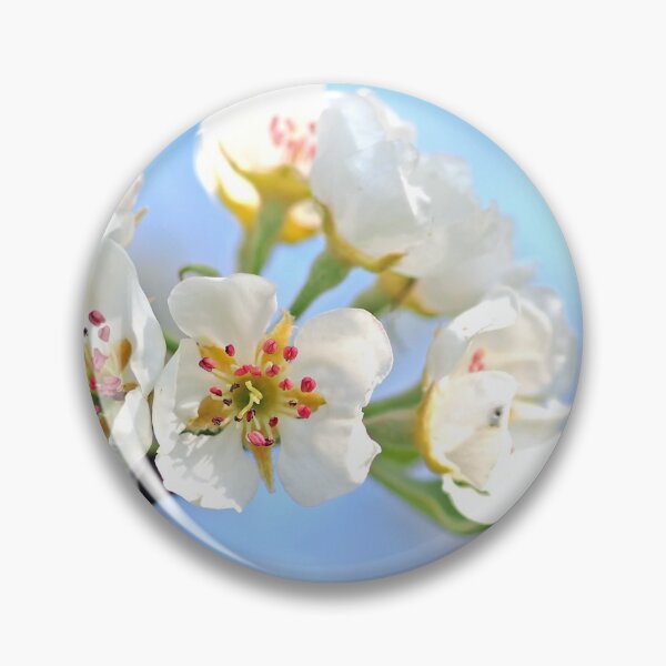 Item preview, spring designed and sold by karimasbihi.