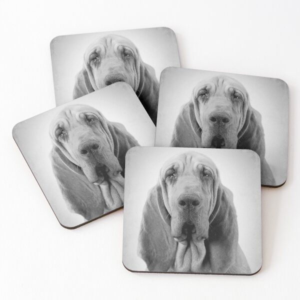 Item preview, Bloodhound dog - BW Vintage - D54 designed and sold by DecoVintage.