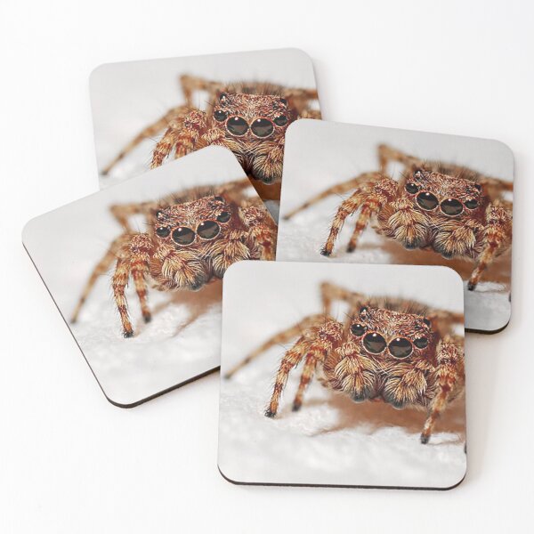 Item preview, Sally the spider with 4 eyes, photo designed and sold by Nostrathomas66.