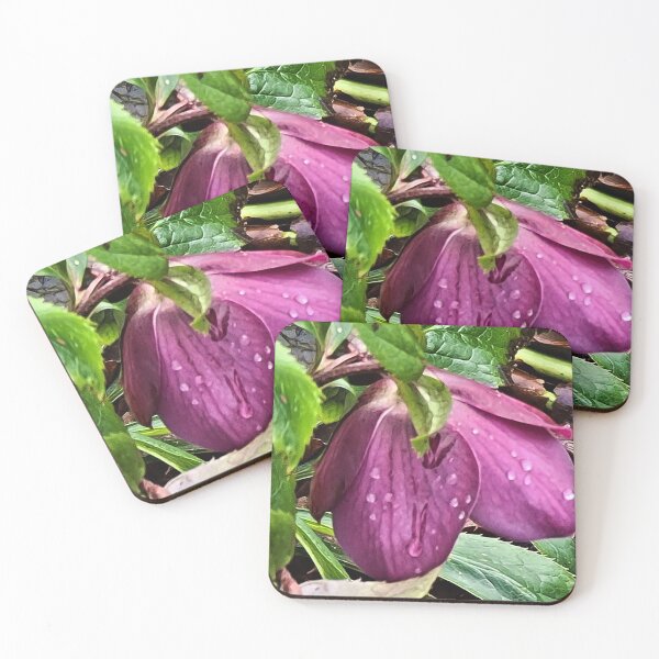 Item preview, TAMalloyPhoto - AFTER THE RAIN  designed and sold by TAMalloyPhoto.