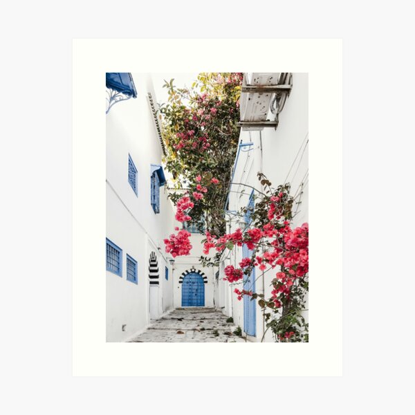 Alley with blue door and pink blossom in Tunisia Art Print