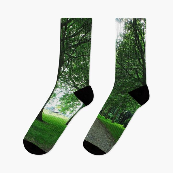 Item preview, Oak Tree Lined foot path at Stowe House Impossible Puzzle designed and sold by Form-2-idea.