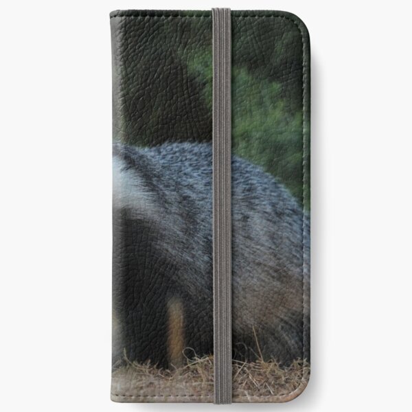 Badger iPhone Wallet
