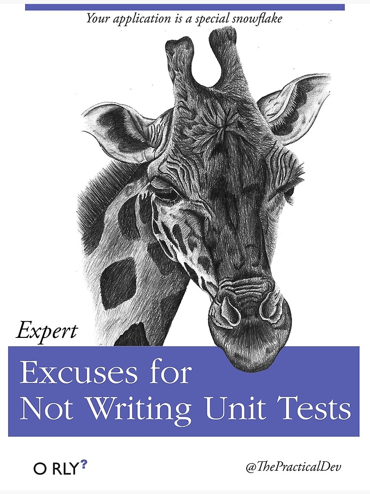 Excuses For Not Writing Unit Tests Poster For Sale By Moondry Redbubble 