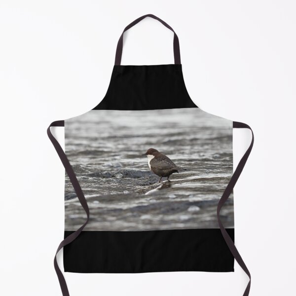 Item preview, Cooling time shallow waters. White-throated dipper designed and sold by Jouko Lehto Photography.