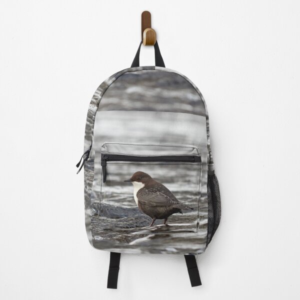 Item preview, Cooling time shallow waters. White-throated dipper designed and sold by Jouko Lehto Photography.