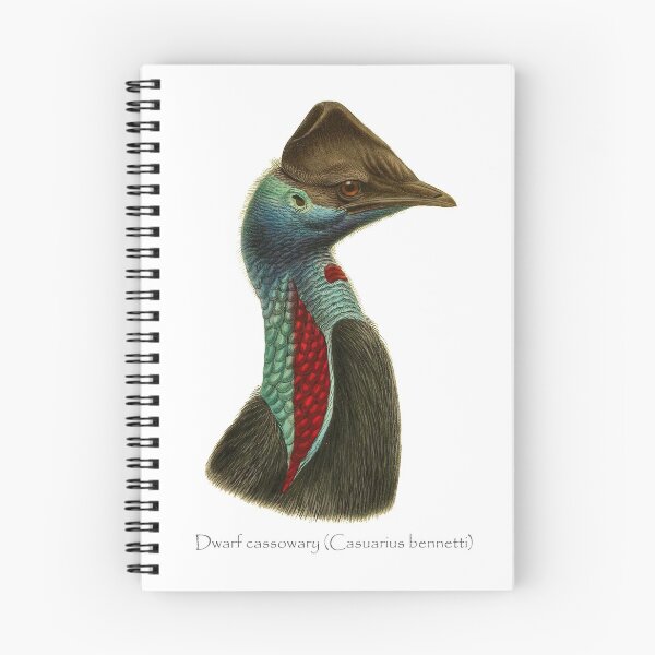 Item preview, dwarf cassowary (Casuarius bennetti) designed and sold by Ecologos.