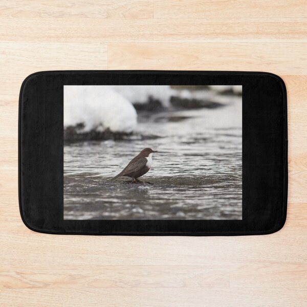 Item preview, Is this really the right time and place. White-throated dipper designed and sold by Jouko Lehto Photography.