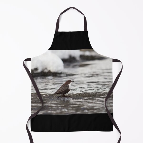 Item preview, Is this really the right time and place. White-throated dipper designed and sold by Jouko Lehto Photography.