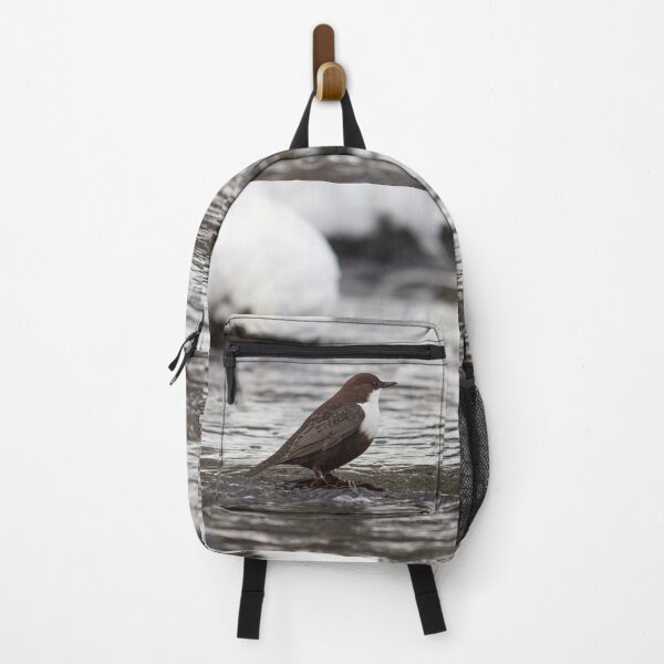 Item preview, Is this really the right time and place. White-throated dipper designed and sold by Jouko Lehto Photography.