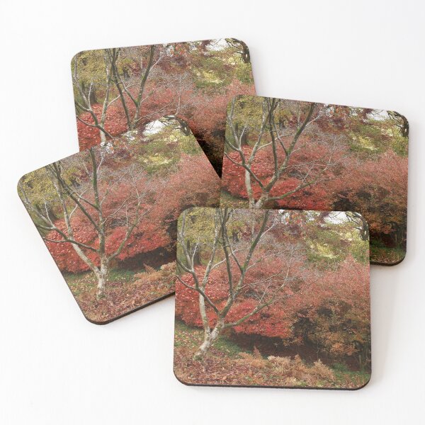 Item preview, The full spectrum of fall designed and sold by miradorpictures.
