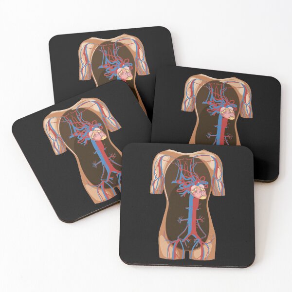Item preview, Blood circulation - anatomy human human body designed and sold by Shirtey.