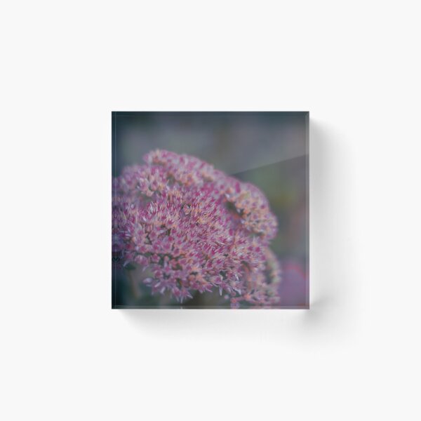 Item preview, Floramor designed and sold by Coco-Loso.
