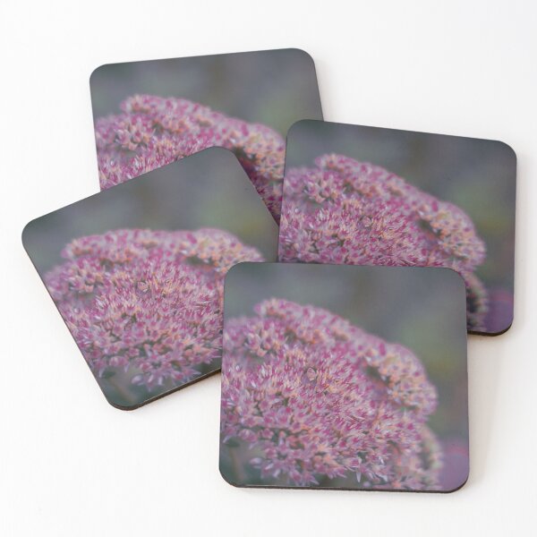 Item preview, Floramor designed and sold by Coco-Loso.