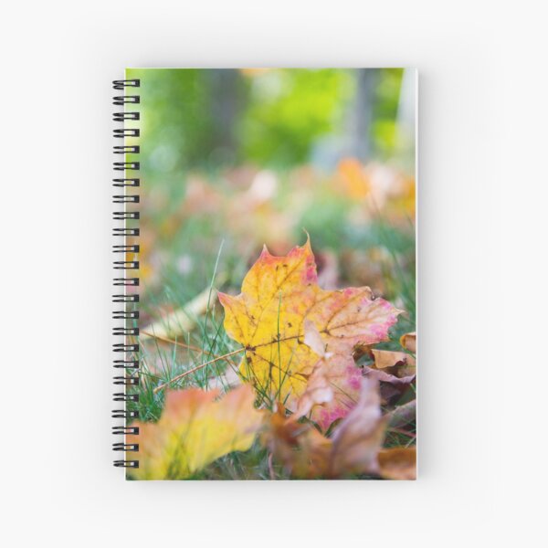 Item preview, Fall Michigan Leaves designed and sold by linalavonne.