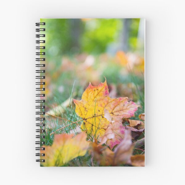 Item preview, Fall Michigan Leaves designed and sold by linalavonne.