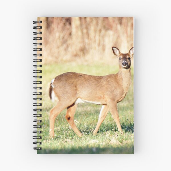 Item preview, Deer in meadow designed and sold by GerryBuckel.