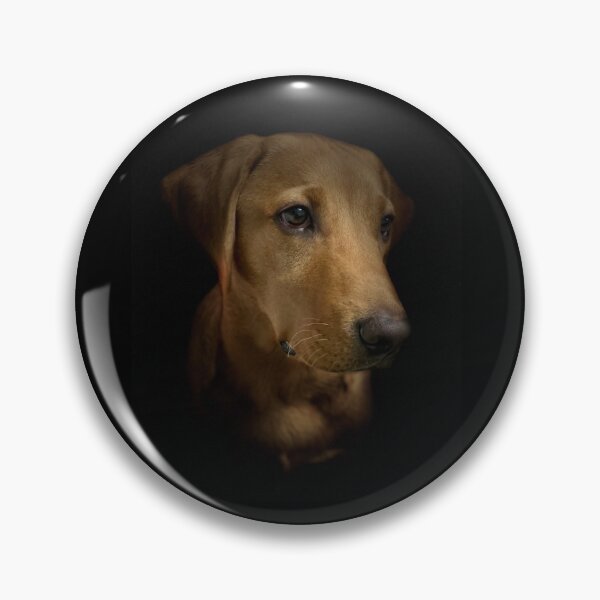 Item preview, Dexter the Fox Red Labrador - Perfect Puppy designed and sold by DexterFRL.