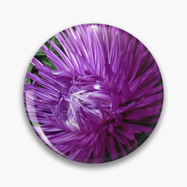 Item preview, Starlight Blue Aster designed and sold by SunriseRose.