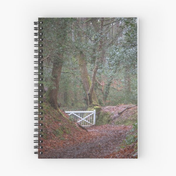 Item preview, ENYS GATE designed and sold by Andrew Hocking.