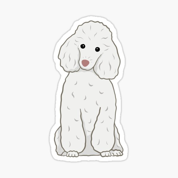 Poodle Dessin de type dedicace au feutre blanc sur papie…