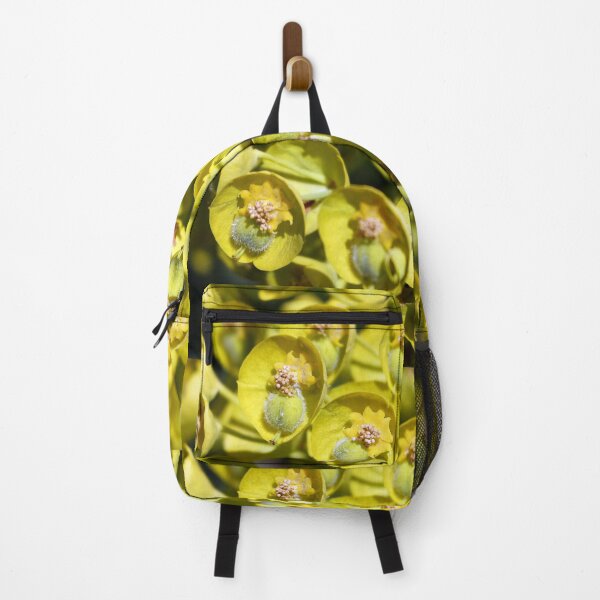 Item preview, Yellow Spurge Euphorbia Wulfenii designed and sold by pinkal.
