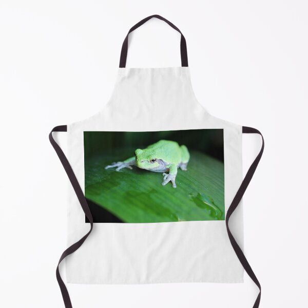 Item preview, Gray Tree Frog, original photo designed and sold by Denise Larson.