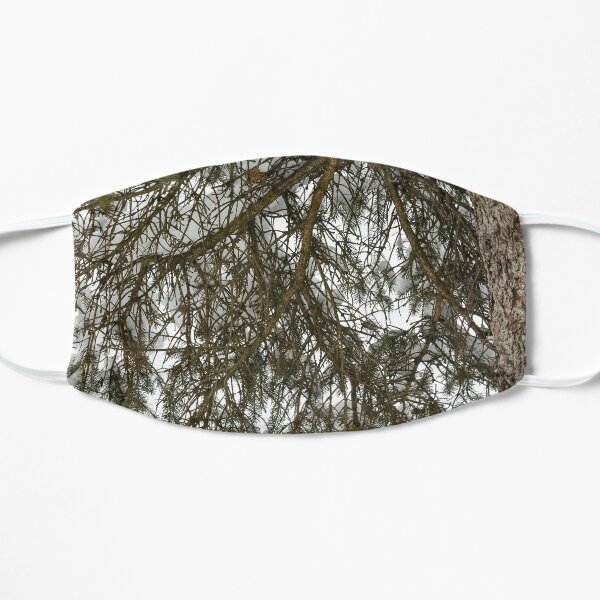 Snow Covered Pine Branch Flat Mask