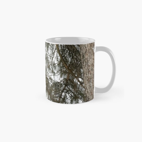 Snow Covered Pine Branch Classic Mug