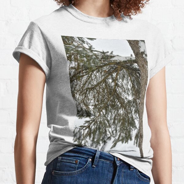 Snow Covered Pine Branch Classic T-Shirt