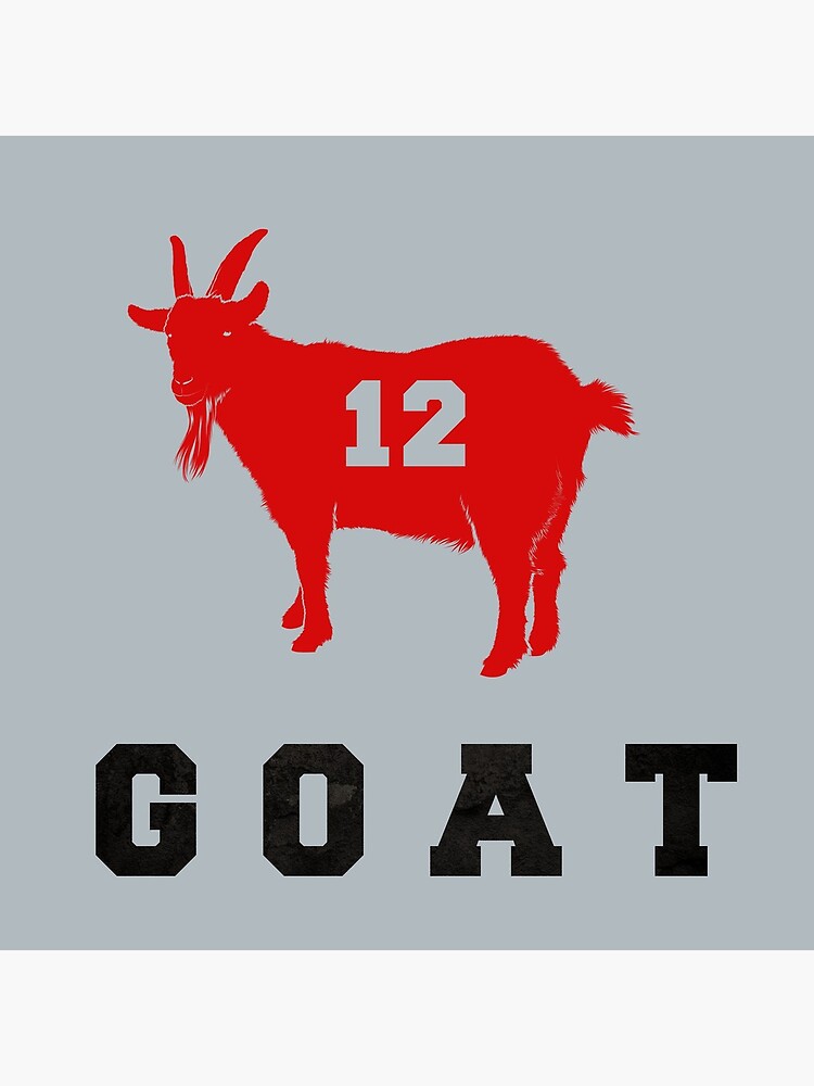 Tom Brady #12 The GOAT shirt, hoodie, sweater, long sleeve and tank top